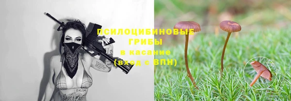 прущая мука Ростов