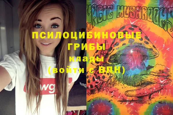 метадон Рославль