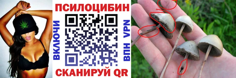 Галлюциногенные грибы GOLDEN TEACHER  Семёнов 